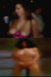 Pussy in NY