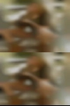 Mature woman